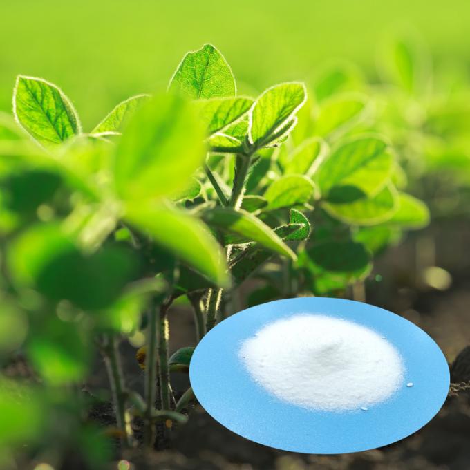 Nitrate de potassium en cristal d'engrais organique de nitrate de potassium de poudre blanche de la pureté 99,7% de plante aquatique de Dr. Aid Hot Sell